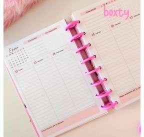 Repuesto Angelica 2026 A5