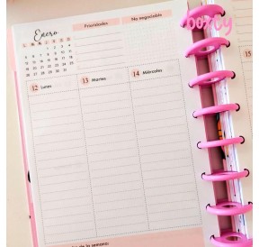 Repuesto Angelica 2026 A5