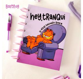Agenda 2027 Garfield