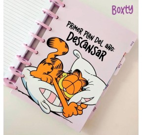 Pack Separadores mensuales Garfield