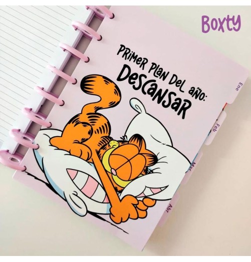 Pack Separadores mensuales Garfield